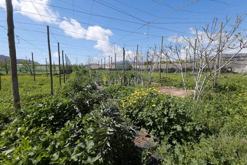 Foto cf40297e-c73a-4278-8ad8-069de7e7cbb8. Propriété dans calle la carreterilla 9 dans Berja