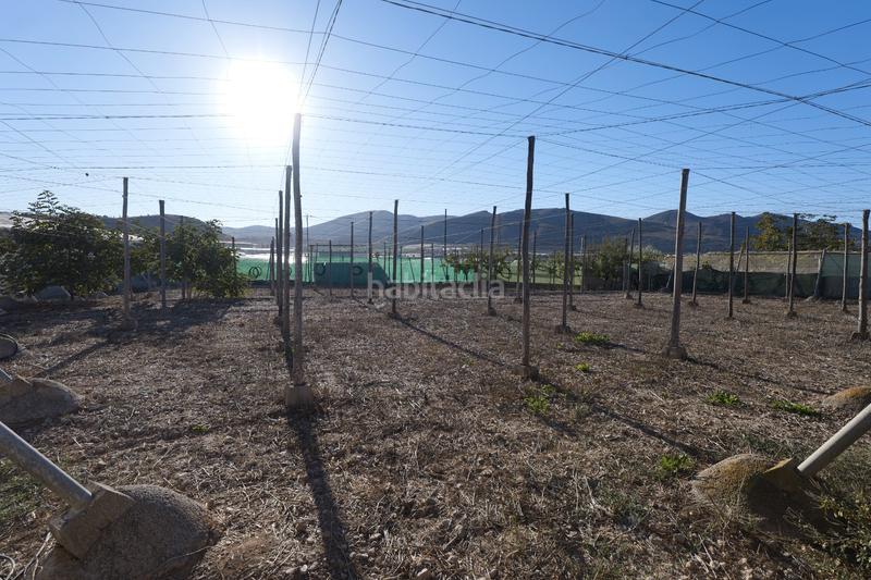 Foto ed5440b1-4037-4f37-acb3-cdec01350918. Propriété dans calle la carreterilla 9 dans Berja