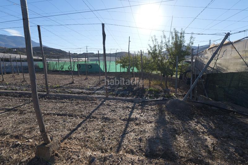 Foto fcd4222f-7293-4bef-b988-07fed143b739. Propriété dans calle la carreterilla 9 dans Berja