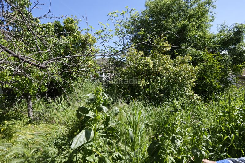 Foto 041803bd-4dde-4e7d-8047-63420d5cf33f. Casa adossada a calle azucena 2 a Turón