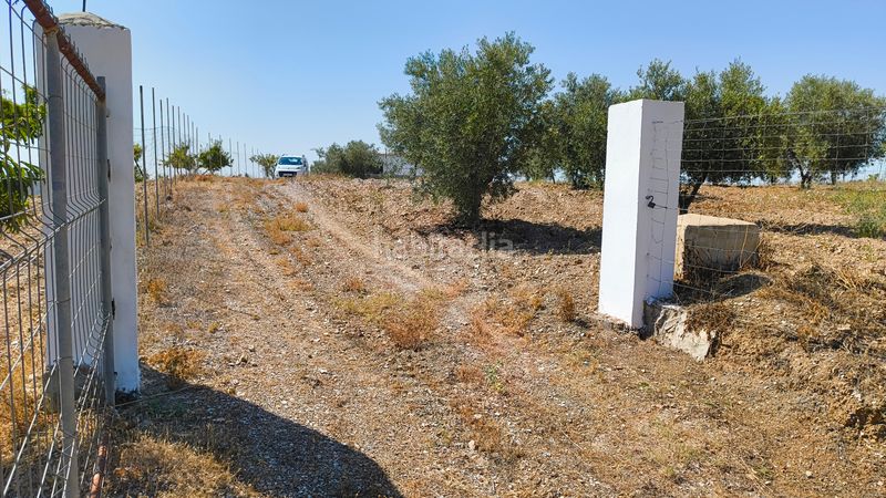Foto e5e7cb61-4254-49dd-b6a7-7d8d53452245. Masia amb xemeneia a Turón