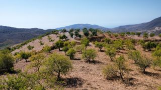 Masía  Lugar cortijo rocilla. Finca rústica en la cima de una colina con espectaculares vistas