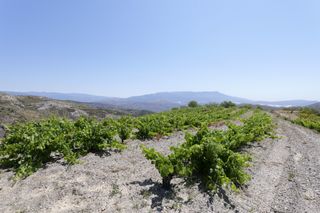 Landgut in N/a