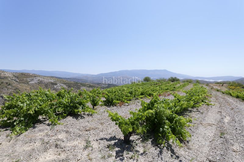 Foto 50a4ddfd-0613-4e47-ac6e-a29f651dc82a. Finca rústica a n/a a Murtas
