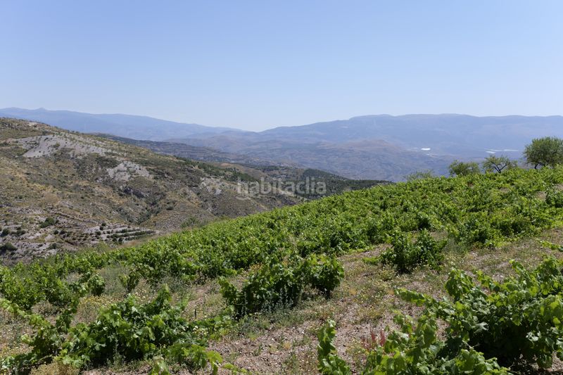 Foto a467df9d-87bd-4324-8530-9d746a332224. Finca rústica a n/a a Murtas