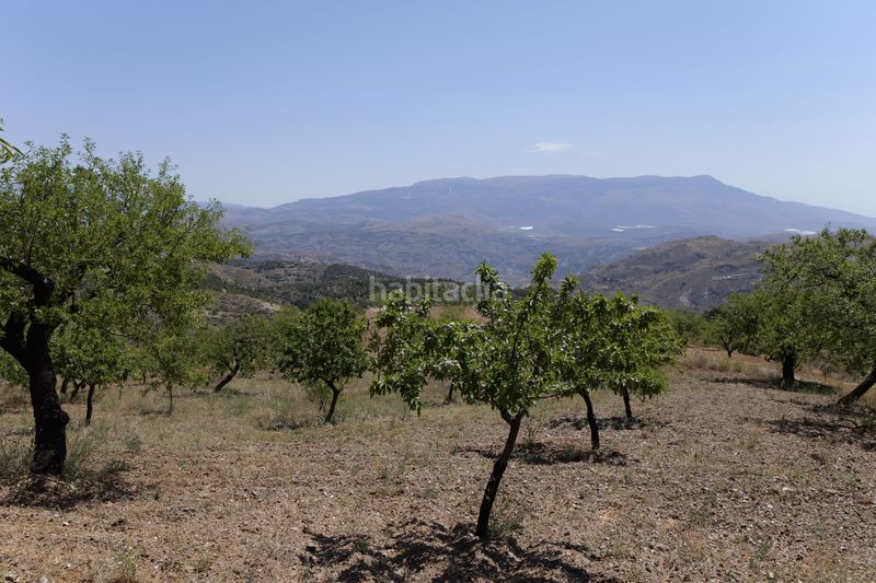 Foto b89258cb-0267-4151-8c6e-05e74b8ad7bd. Finca rústica a n/a a Murtas