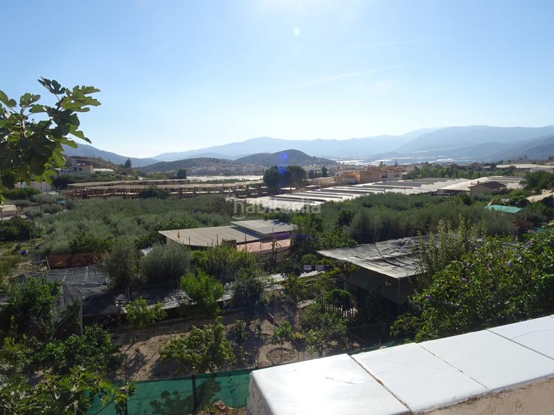 Foto b8fe0f8e-2146-490c-900f-449172c3e1d9. Casa pareada en calle fuente la higuera 23 casa pareada 4 habitaciones con terraza y patio 165 m2 en Berja