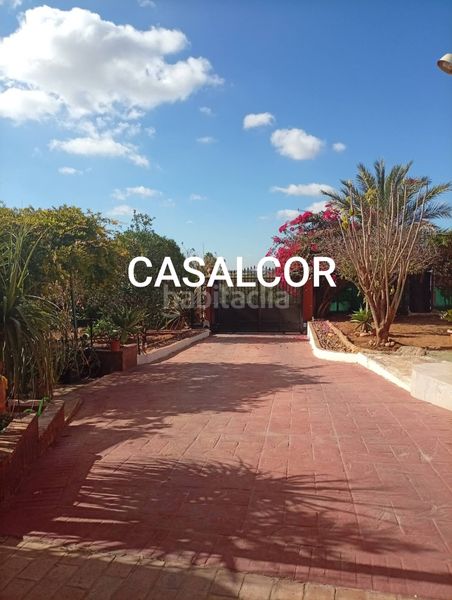 Foto d8809eae-bbdb-48a5-9671-6feb51a004a7. Location loft avec parking piscine dans Carmona