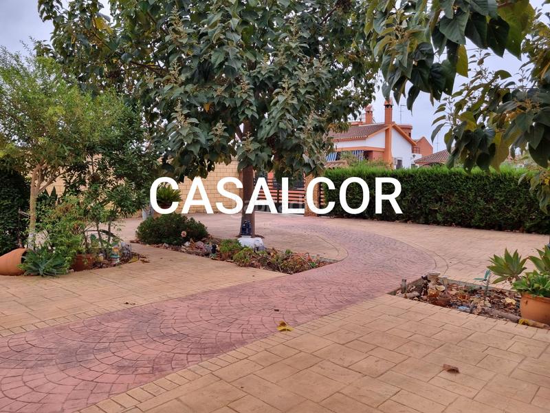 Foto 0bc9664d-e09d-49f9-b666-e381e8f4a080. Affitto chalet con parcheggio piscina in Mairena del Alcor