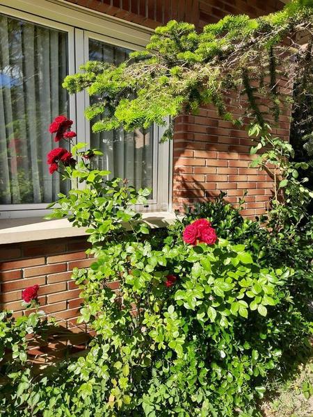 Foto 373ed3f4-c1d5-4352-a4cd-86adfede1dfa. Casa con riscaldamento parcheggio in Montecanal Zaragoza