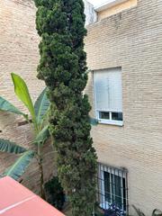 Alquiler Piso en Triana Casco Antiguo. Piso en pleno centro de trisna