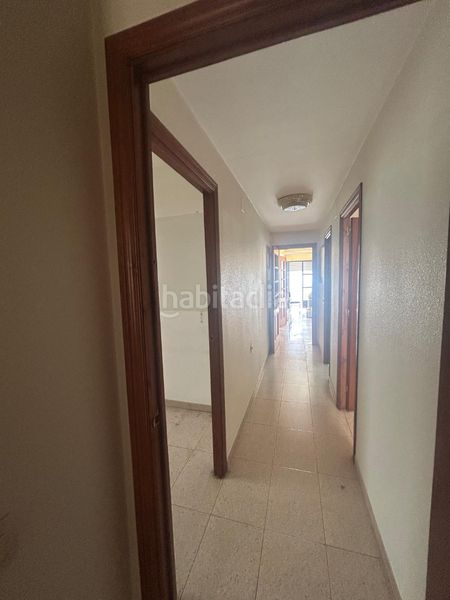 Foto 8180a5dc-1390-473e-a540-ab0c8a4752c3. Pis a Almendralejo