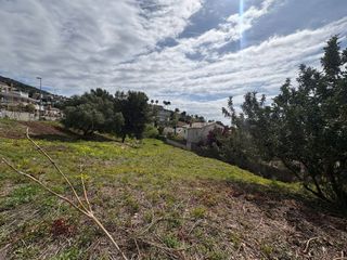 Terreny residencial a palmeres