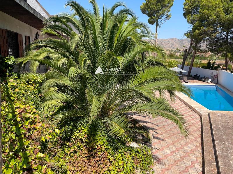Foto 12e22bd9-8e03-485a-a6d2-797b4af97cee. Casa chalet de lujo en monóvar, alicante en Monòver