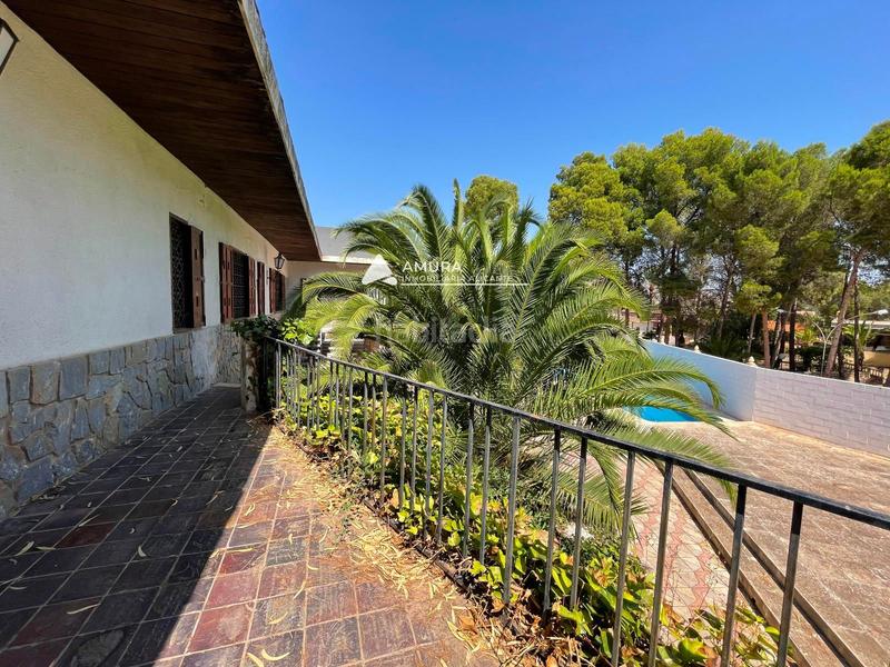 Foto bc5ef977-e3d3-43db-8b54-8a007326856f. Casa chalet de lujo en monóvar, alicante en Monòver