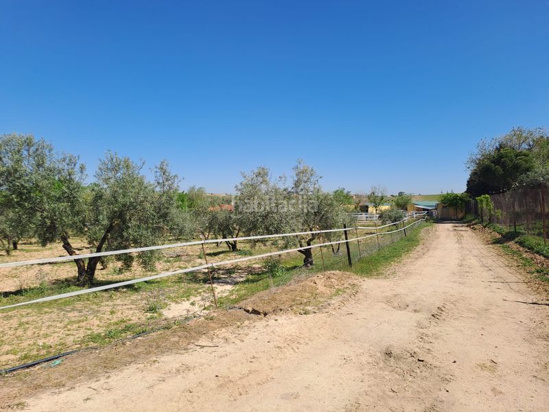 Foto 030900a3-8c9f-420d-a07e-f466443a0db9. Terreny residencial a Griñón