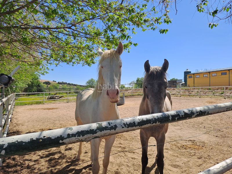 Foto 0d475a97-4cba-4d81-bec2-f230bea69a20. Terreny residencial a Griñón