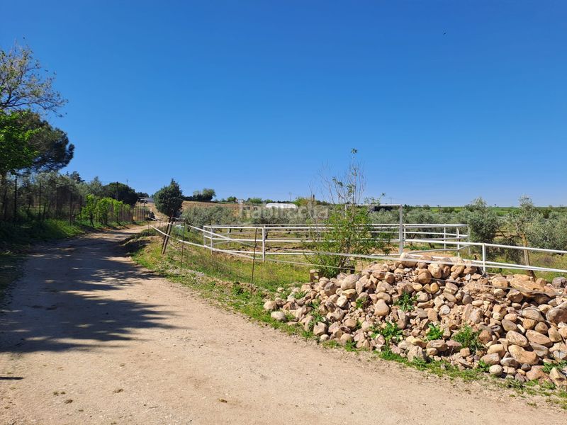 Foto 11a15b19-50f1-41a8-b0a6-0f9f21677629. Terreny residencial a Griñón