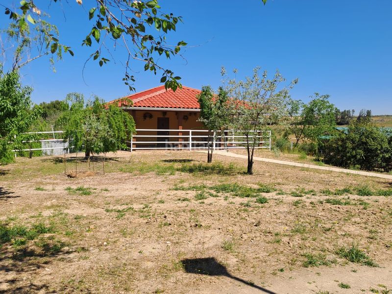 Foto 127998fe-2f14-443f-87e8-411ac75a1185. Terreny residencial a Griñón