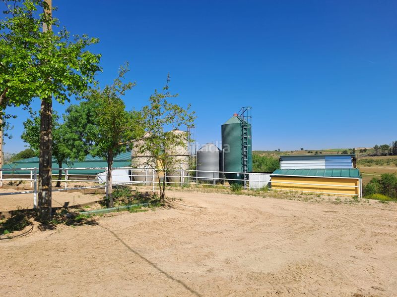 Foto 1b8e9c45-e8b6-4ba4-b7a2-32cb02c995d6. Terreny residencial a Griñón