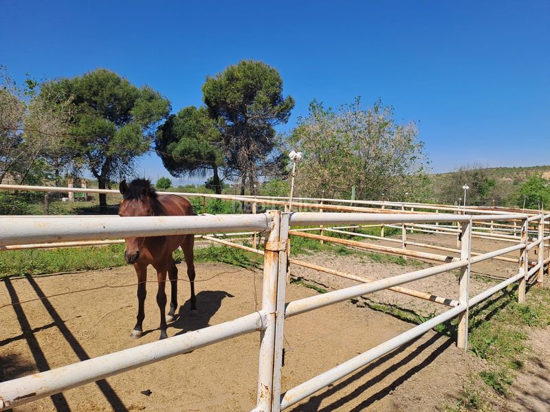 Foto 204c01a2-ed5d-44a6-ba37-424330e36d3d. Terreny residencial a Griñón