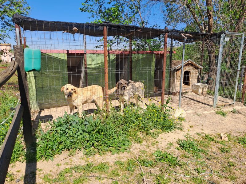 Foto 2a744620-0454-4bad-bfe0-bc4afa44fea3. Terreny residencial a Griñón