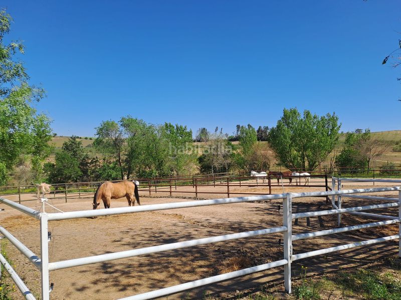 Foto 30a665d8-fb0f-4ebd-be6f-d2d516ac54d1. Terreny residencial a Griñón