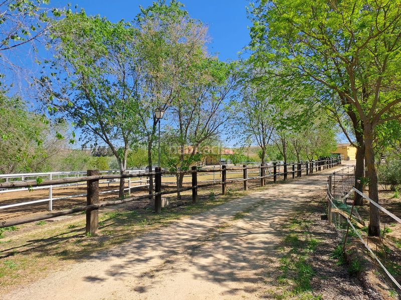 Foto 4adf3a19-d28f-40e1-a4b4-1cad6137081e. Terreny residencial a Griñón