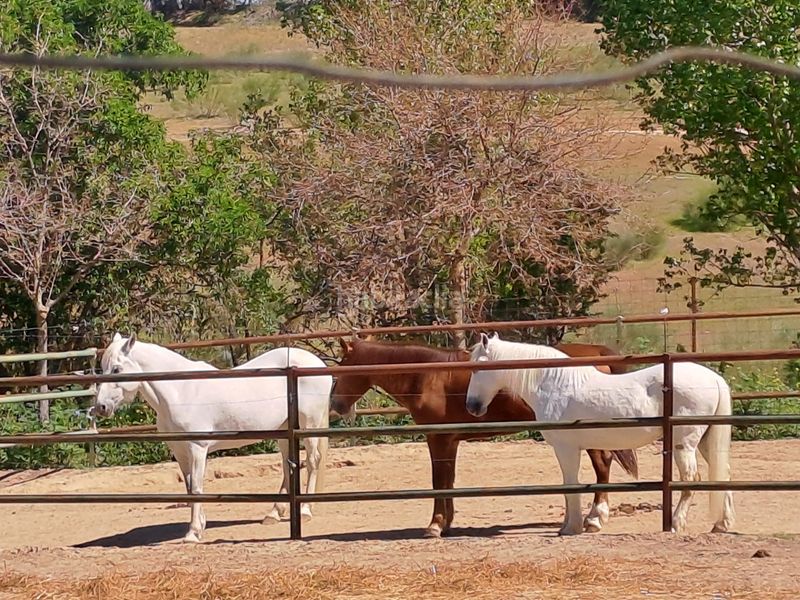 Foto 6186da21-9c5f-41a4-9097-daad3e24520c. Terreny residencial a Griñón