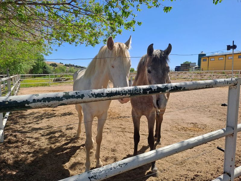 Foto 62dbfa22-6973-409e-8f4d-c36a83d365b2. Terreny residencial a Griñón