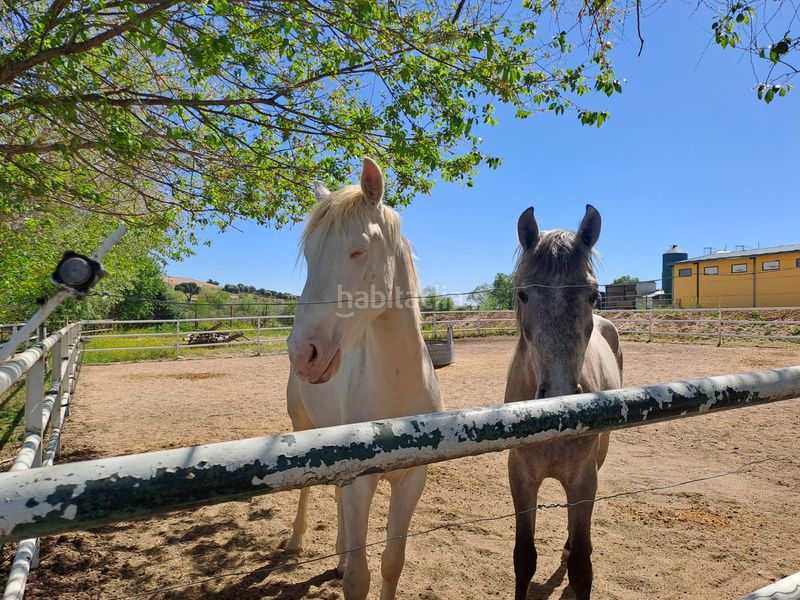 Foto 6480fd0e-a71d-45c3-a004-5c4387aedd74. Terreny residencial a Griñón