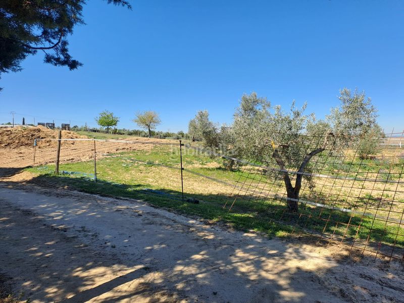 Foto 69dc15c5-acdc-469d-aa9c-df7451b32cd9. Terreny residencial a Griñón
