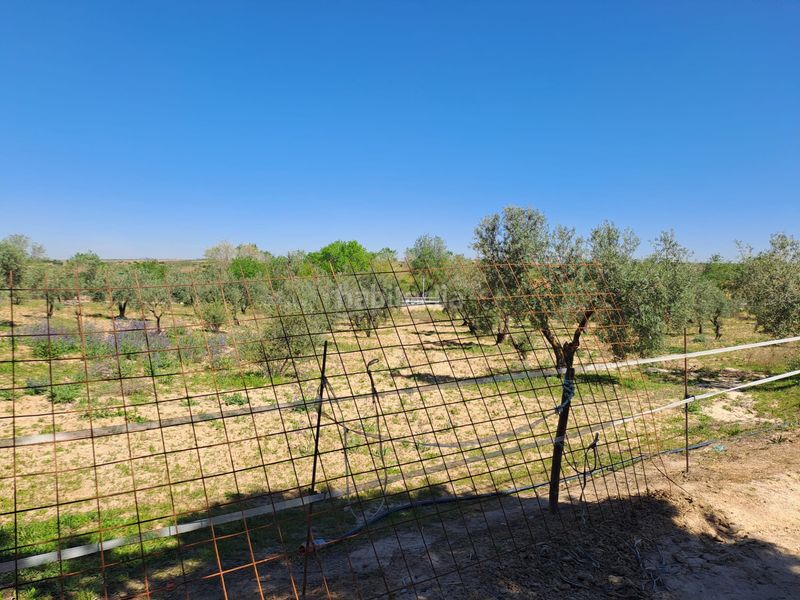 Foto 9ecfc4fe-36e3-40de-a2b4-0a1733ea7277. Terreny residencial a Griñón