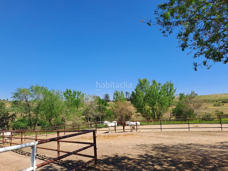 Foto a088932e-a505-4351-b2c8-e057ebbe2af9. Terreny residencial a Griñón