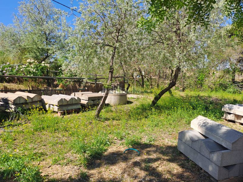 Foto b6705aca-7127-4785-943f-2a9f076ceb40. Terreny residencial a Griñón