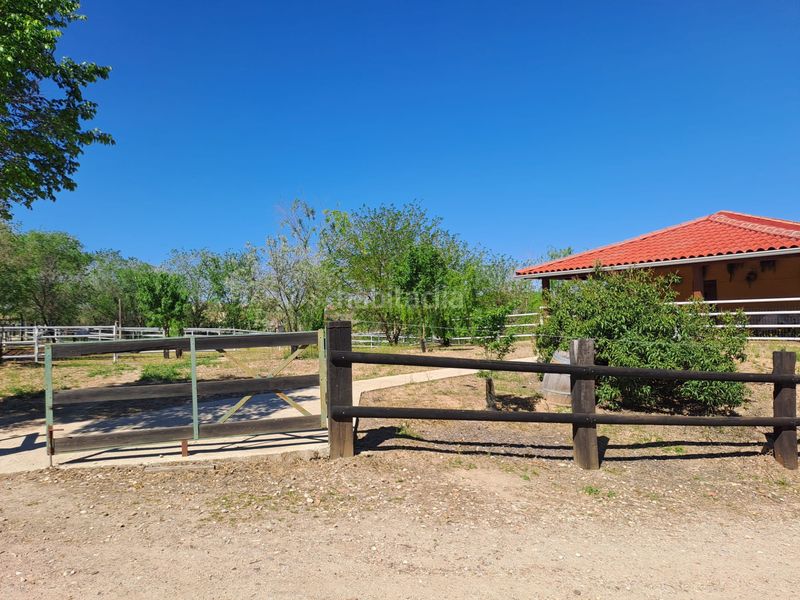 Foto bfcebcb4-ecca-458e-a73b-9017bb146c0b. Terreny residencial a Griñón