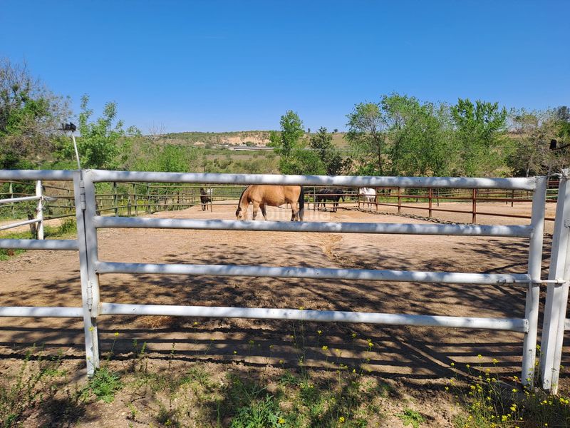 Foto c0bd3429-b7a9-4efa-81e2-6a82772818f5. Terreny residencial a Griñón