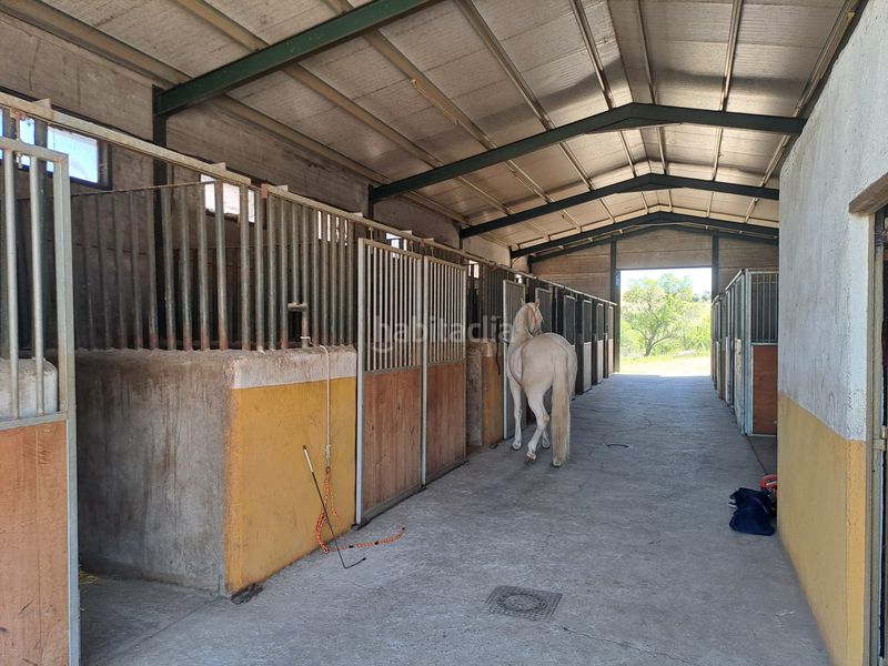 Foto e6502307-f055-42f6-875a-fab7da29aefb. Terreny residencial a Griñón