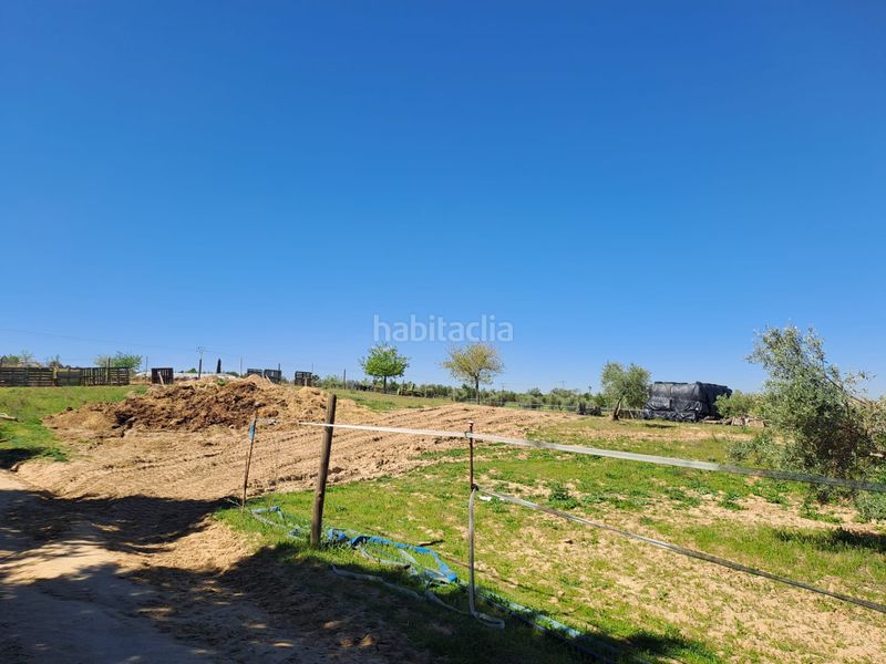 Foto eefcec61-9daa-4477-a46f-f6b9ba858e24. Terreny residencial a Griñón