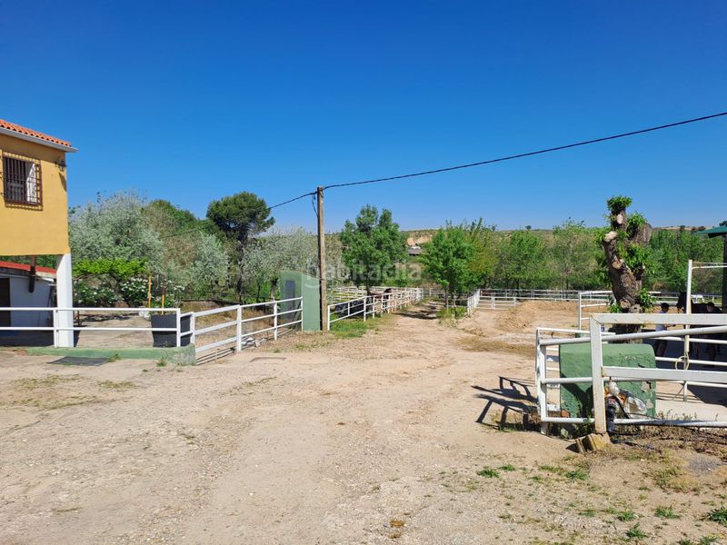 Foto f051ac71-3134-43c2-87e8-b30051dc29a2. Terreny residencial a Griñón