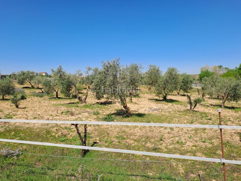 Foto f74fa744-c906-4352-8fe4-53d14e389d83. Terreny residencial a Griñón