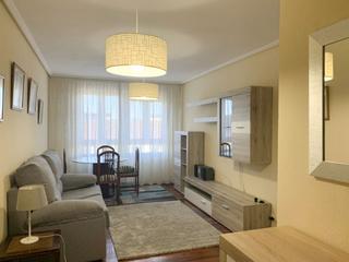 Location Appartement  Calle ruiz de alda. Piso de dos habitaciones amueblado y en perfecto estado en casti