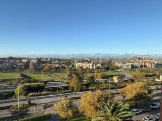 Alquiler Piso en Los Castros. En avenida de los castros