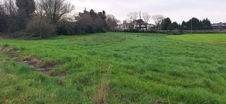 Rural plot in Ribamontán al Monte. Terreno en anero