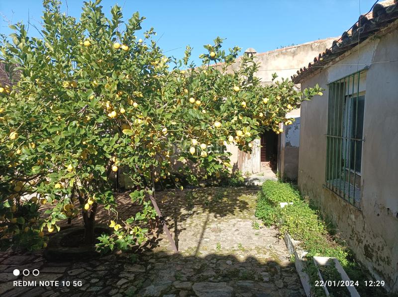 Foto 24674b8e-a262-4ad5-b7df-ccb8478b0f9b. Casa in calle garrotera 16 in Zafra