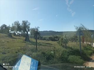 Finca rústica en Lugar cabra higa 7. Parcela olivar 7,5 hectareas