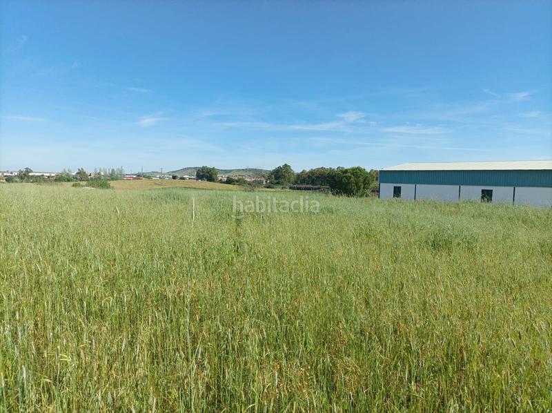 Foto d9204e27-bb99-4263-8a6e-0bbe30c19430. Finca rústica a calle oreganal 158 a Puebla de Sancho Pérez