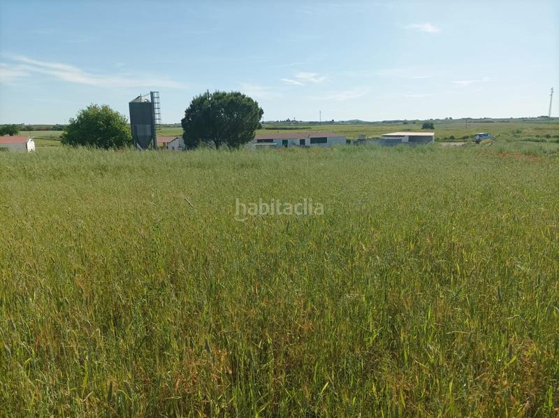 Foto f73e8452-986e-4b91-aef9-72ac11c8b1f2. Finca rústica a calle oreganal 158 a Puebla de Sancho Pérez