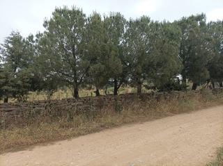 Finca rústica en Calle ramón y cajal 7. Parcela rustica zona rotonda bar la perdiz, junto a la via. siti
