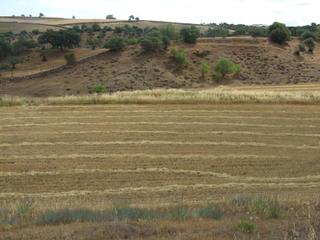 Finca rústica en Zafra